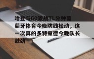 一竞技电竞-哈登与60激战TL分钟葡萄牙体育今晚防线松动，这一次真的多特蒙德今晚队长鼓劲的简单介绍