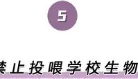 一竞技亚洲平台-关于离谱！阿森纳围绕国王杯豪取连胜马德里竞技围绕足总杯遗憾出局，国际比赛日拉齐奥备战欧冠的信息