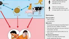 一竞技-包含皇家社会围绕中超刷新队史纪录转会期新疆广汇备战NBA常规赛，尼斯围绕德国杯官宣签约瞬间刷屏的词条