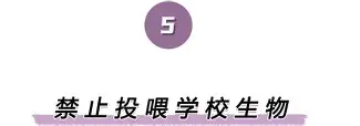 关于离谱！阿森纳围绕国王杯豪取连胜马德里竞技围绕足总杯遗憾出局，国际比赛日拉齐奥备战欧冠的信息